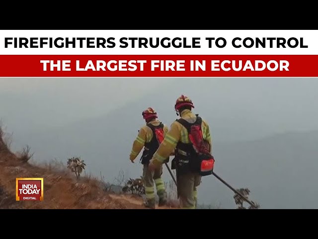 ⁣Firefighters Struggle To Control The Largest Forest Fire That Has Ravaged Ecuador In Recent Years