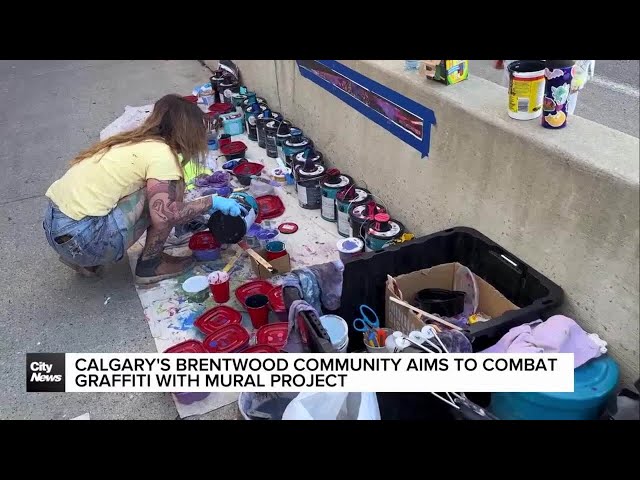 ⁣Calgary's Brentwood Community aims to combat graffiti with mural project