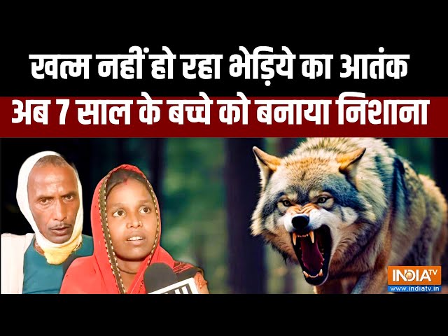 ⁣Wolf Attack in Bahraich: आदमखोर भेड़िये का आतंक जारी, अब 7 साल के बच्‍चे को बनाया निशाना