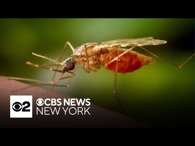 ⁣West Nile virus prevention tips | On Call with Dr. Kumar