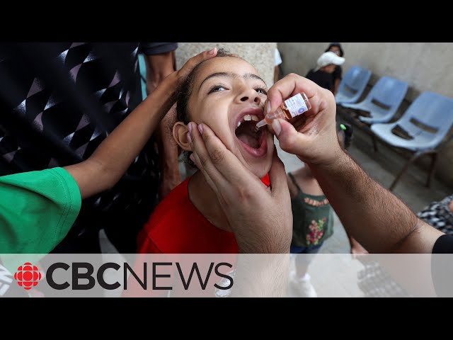 ⁣‘Constraints of security’ a barrier for mass polio vaccination in Gaza: MSF leader