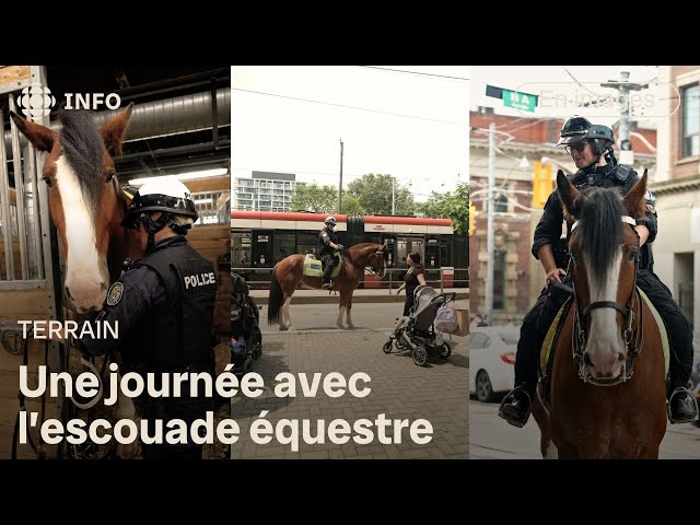 ⁣Profession : patrouilleurs à cheval