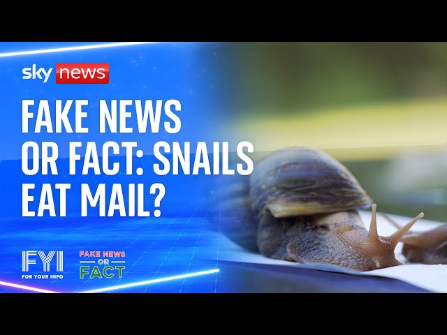 ⁣Fake news or fact: Snails eat mail?