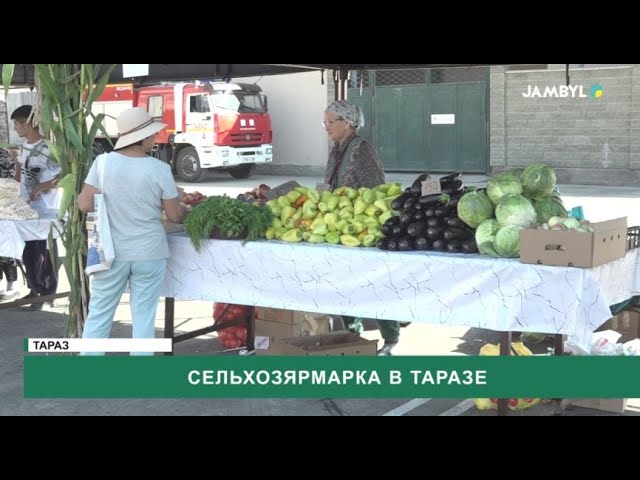 ⁣Сельхозярмарка в Таразе