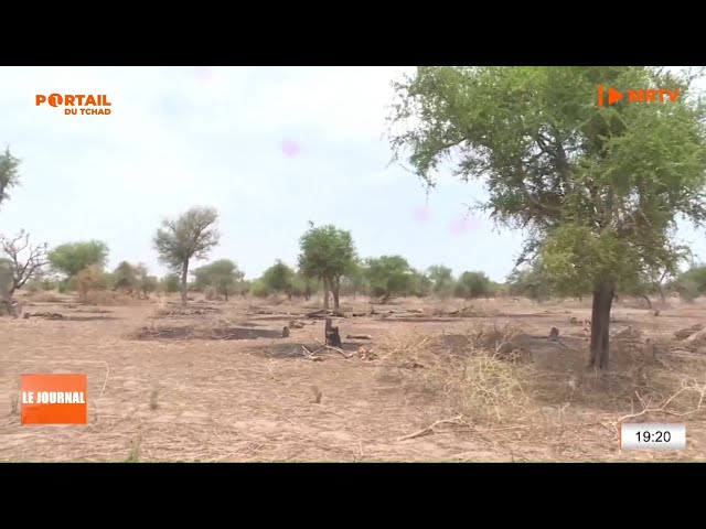 ⁣SEMAINE NATIONALE DE L'ARBRE - Appel à la protection des arbres plantés