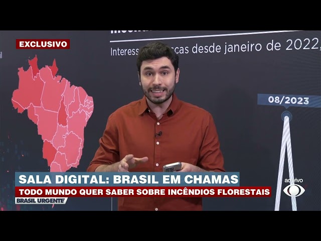 Sala Digital traz preocupações dos brasileiros sobre queimadas no país