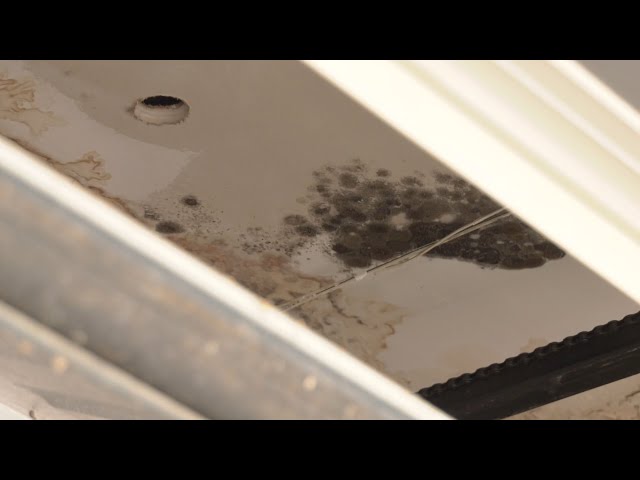 ⁣Ont. woman paying rent for mouldy home she can't live in