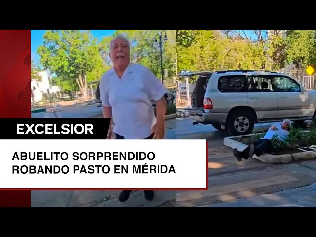 ⁣Cachan a abuelito robando pasto y plantas en Paseo de Montejo