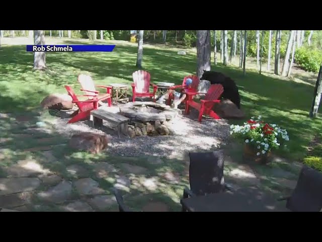 ⁣Caught on camera: Bear sneaks up behind child in Aspen yard