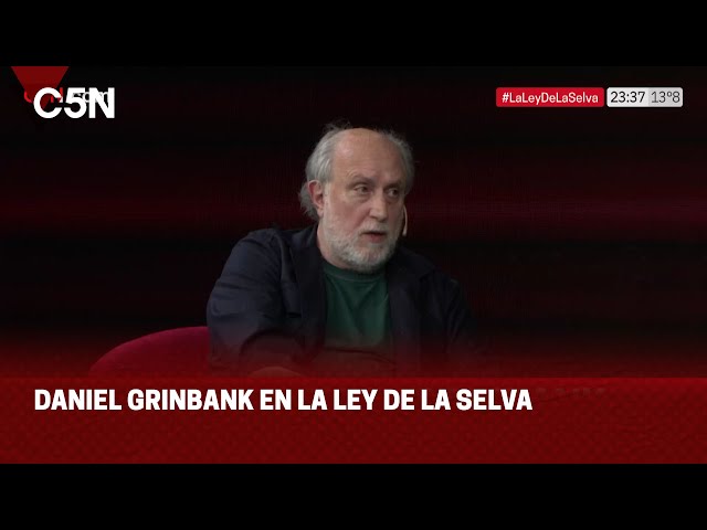 ⁣Entrevista a DANIEL GRINBANK en LA LEY DE LA SELVA