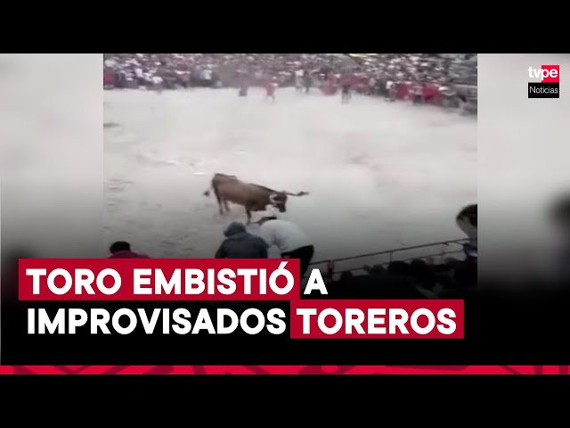 ⁣Ayacucho: toro embistió a sujetos en estado de ebriedad durante fiesta patronal