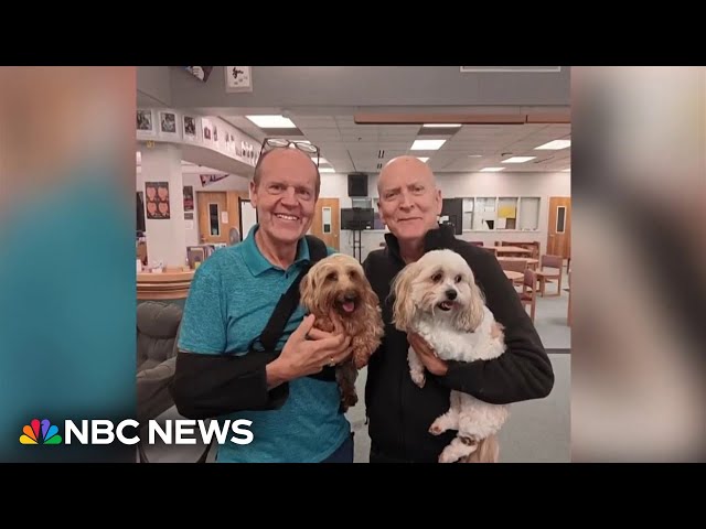 ⁣Alaska couple who survived landslide reunited with dogs after miraculous rescue