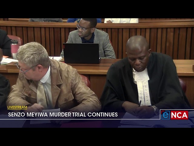 ⁣LIVESTREAM | Cross-examination of ballistics expert continues at Meyiwa trial