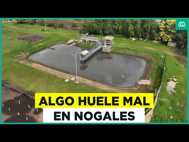 ⁣Algo huele mal en Nogales: Denuncian que un estero fue contaminado con ducto de aguas servidas