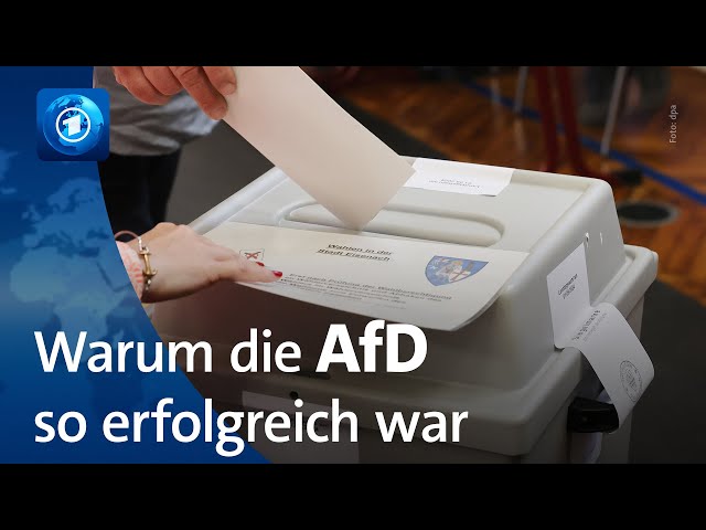 Warum so viele Menschen in Thüringen und Sachsen die AfD gewählt haben