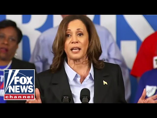 ⁣Kamala Harris called out for 'cringe' fake accent at Detroit rally