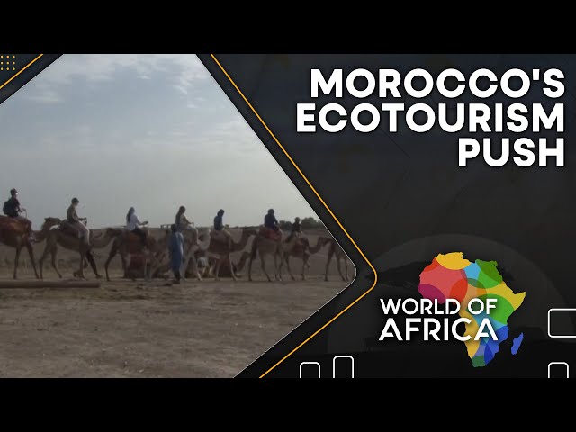 ⁣Morocco's ecotourism push | Morocco embraces sustainable tourism | World Of Africa