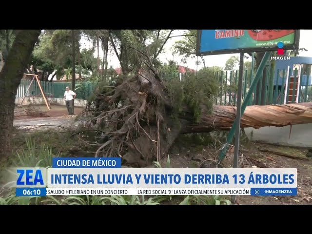 ⁣La intensa lluvia y rachas de viento provocaron la caída de 13 árboles en CDMX | Noticias Paco Zea