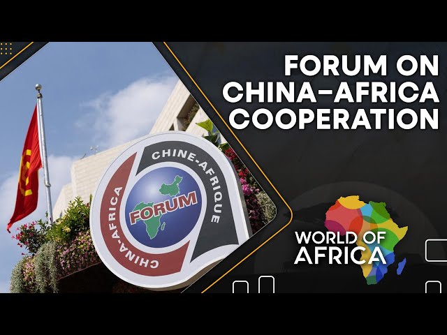 ⁣Chinese investors re-hedge bets in Africa | World of Africa | WION