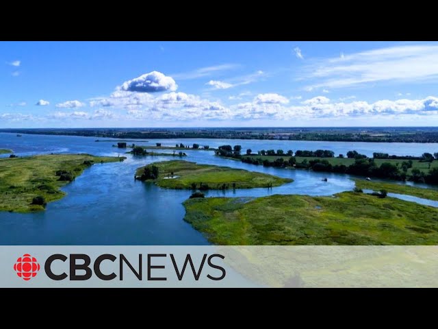 ⁣This group of islands is Montreal's ‘hidden gem’ — and you can reach it by public transit