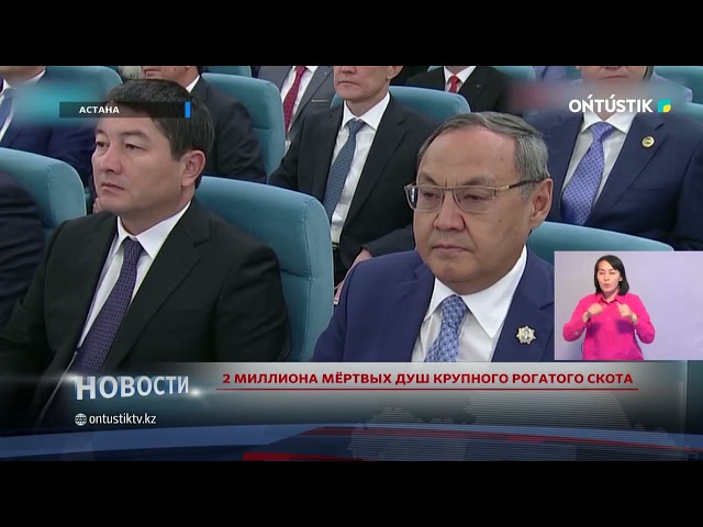 ⁣2 МИЛЛИОНА МЁРТВЫХ ДУШ КРУПНОГО РОГАТОГО СКОТА