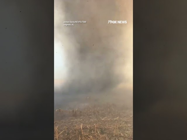 ⁣Massive ‘smokenado’ erupts and whips around an Alabama cornfield that was scorched by fire