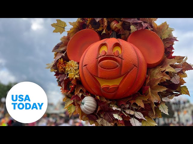 ⁣What are the differences between Halloween at Disney World vs. Disneyland? | USA TODAY