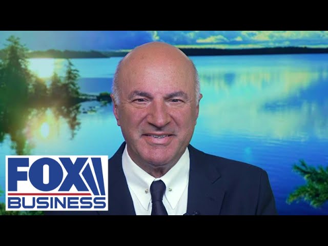 ⁣‘BE CAREFUL’: Kevin O’Leary sends warning to Brazil amid Elon Musk feud