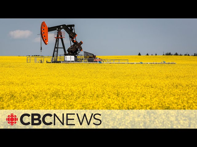 ⁣Canada’s largest canola importer, China, announces anti-dumping investigation plan