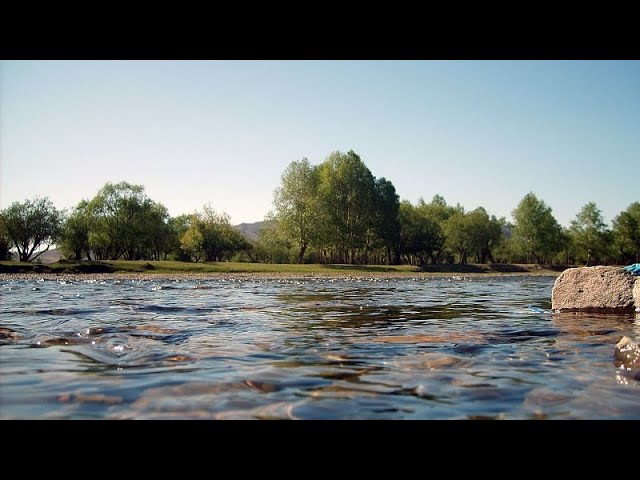 ⁣Forderung zur Sicherung der Wasserresourcen aus Portugal