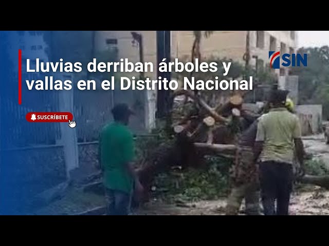 ⁣Lluvias derriban árboles y vallas en el Distrito Nacional