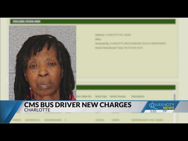 ⁣Suspected impaired Charlotte bus driver facing 21 child abuse charges