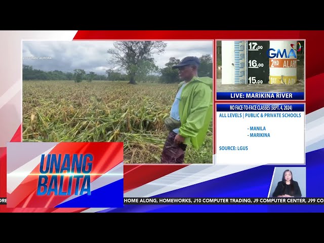 ⁣Ilang taniman ng mais, nasira ng Bagyong Enteng | Unang Balita