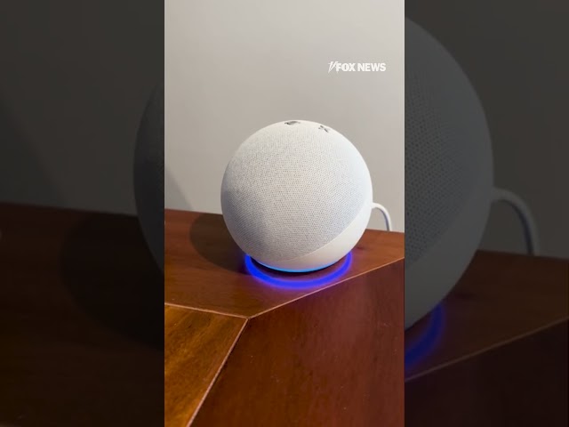 ⁣Why vote for Trump? Why vote for Harris? Amazon's Alexa gives shockingly different answers.