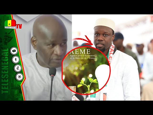 ⁣Nouvelle coalition: Thierno Lo dévoile le plan de Macky pour les législatives et avertit SONKO et Di