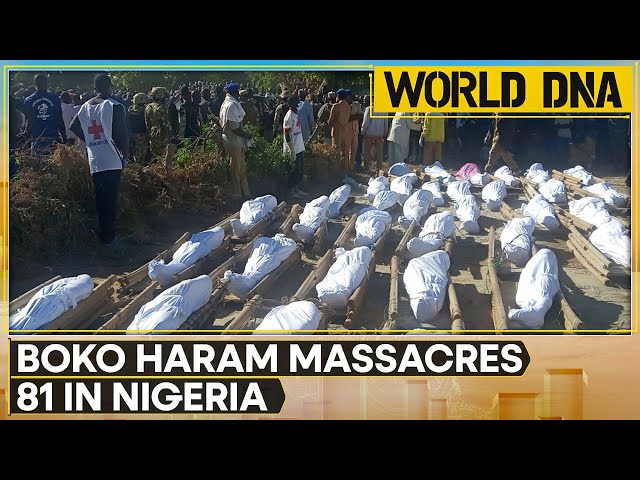 ⁣World DNA LIVE: 81 killed in Boko Haram attack in Nigeria | WION News | English News