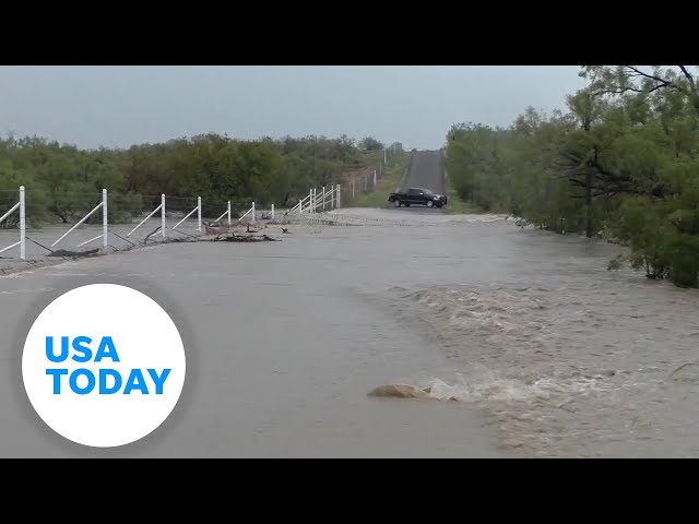 ⁣Watch: Fish struggle to swim across flooded Texas road | USA TODAY