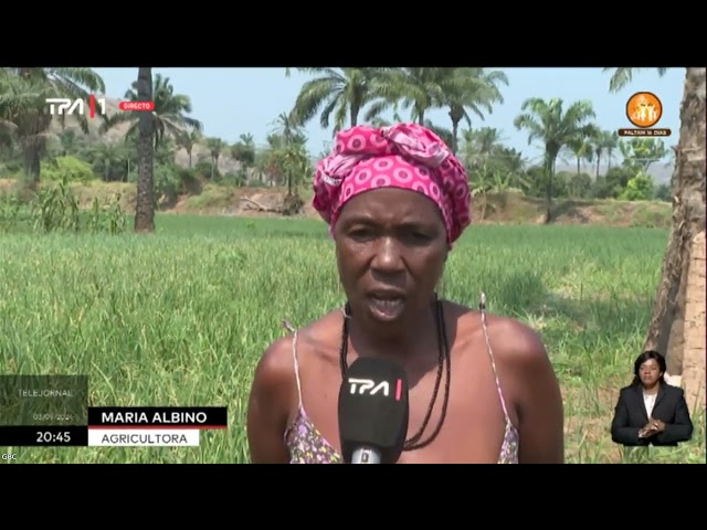 Cebola do Cuanza-Sul exportada para RDC, Gabão e Senegal