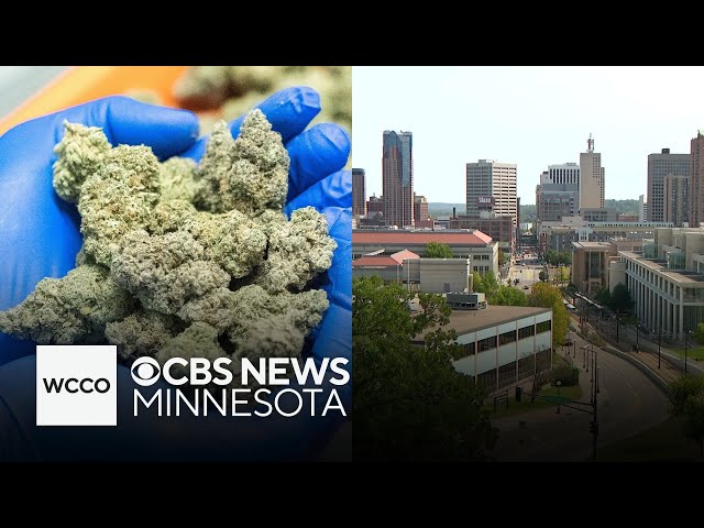 ⁣St. Paul considering cannabis zoning proposal