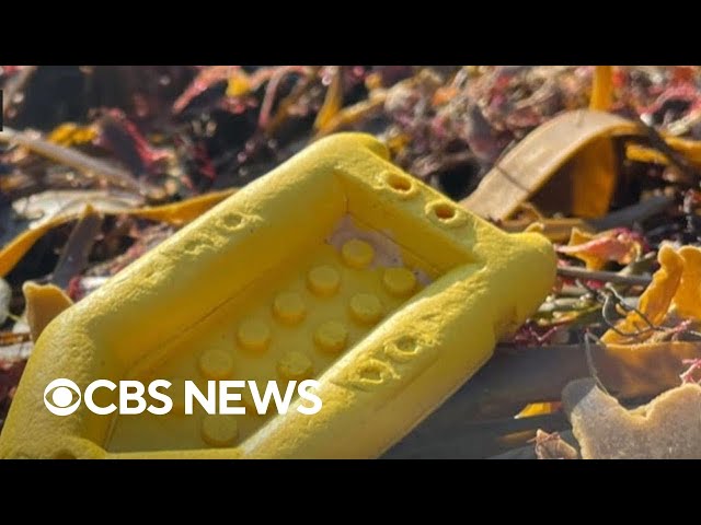 ⁣Why Legos have been washing up on U.K. shores for decades