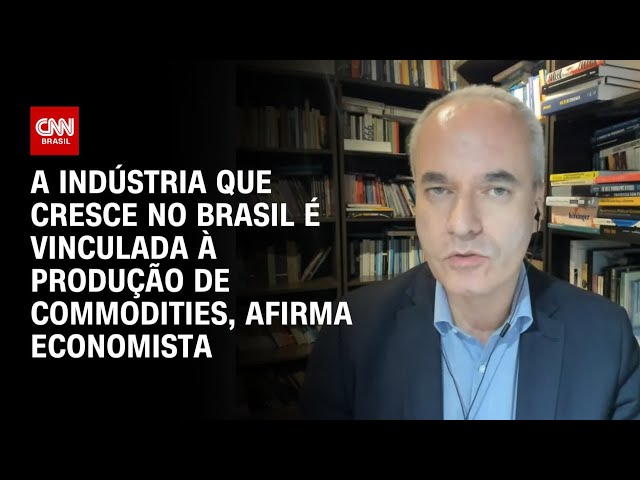 ⁣A indústria que cresce no Brasil é vinculada à produção de commodities, afirma economista | WW