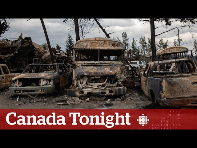 ⁣Jasper schools looked 'like a war zone’ after wildfires, superintendent says | Canada Tonight