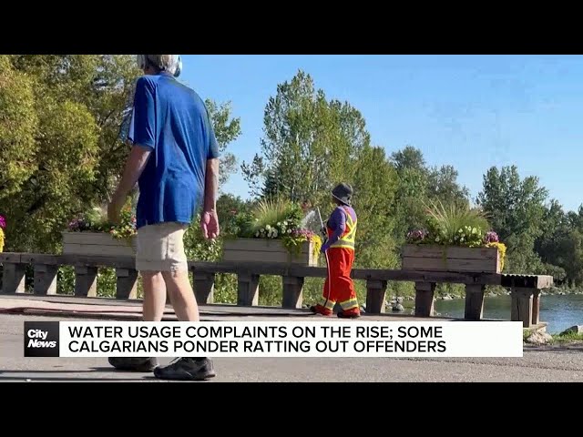 ⁣Water usage complaints on the rise; some Calgarians ponder ratting out offenders