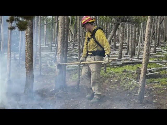 ⁣Firefighters use variety of methods to quickly respond to wildfires in Colorado's high country