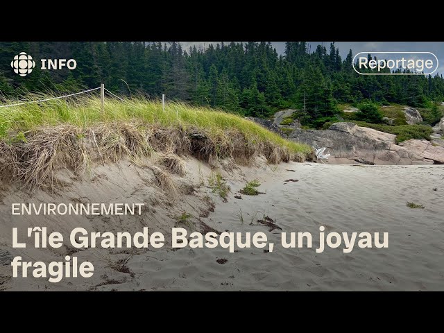 ⁣Moins de touristes sur l’île Grande Basque pour mieux la protéger?