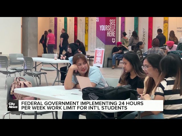 ⁣Federal gov’t plans to change working hours for international students