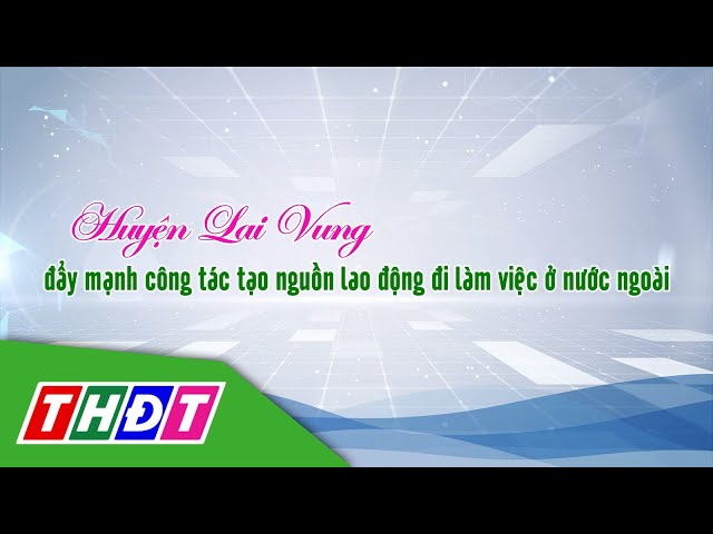 ⁣Huyện Lai Vung đẩy mạnh công tác tạo nguồn lao động đi làm việc ở nước ngoài | Lao động HN | THDT