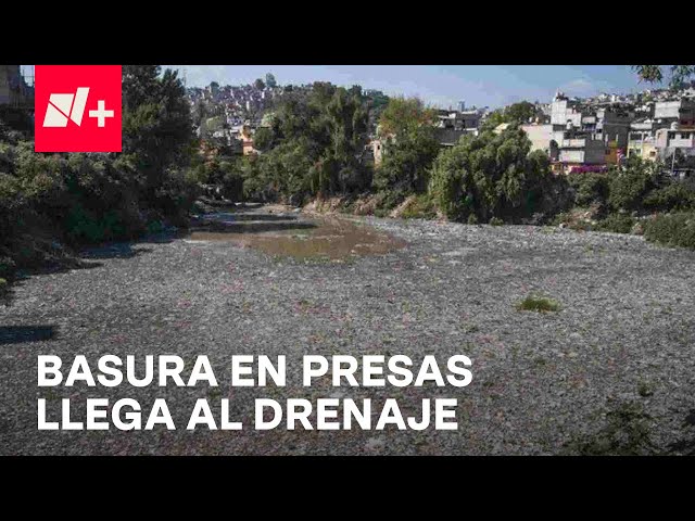 Presas en Álvaro Obregón llenas de basura - En Punto