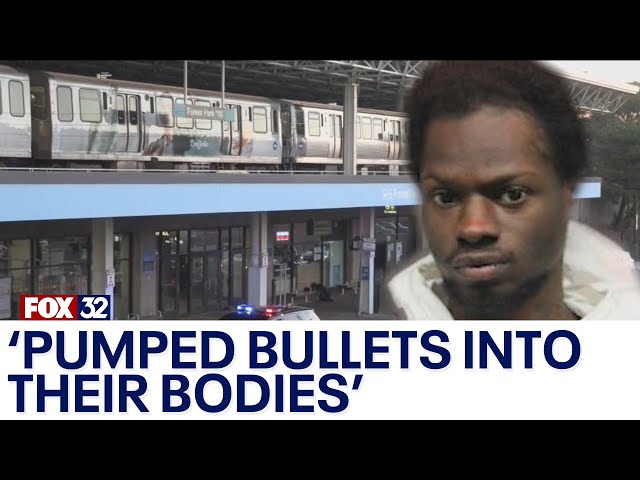 ⁣'Pumped bullets into their bodies': What we know about the deadly Chicago CTA shooting