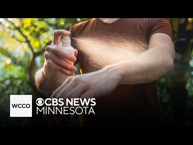 ⁣What to know about mosquito-borne diseases in Minnesota